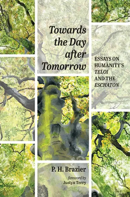 Towards the Day after Tomorrow by P. H. Brazier