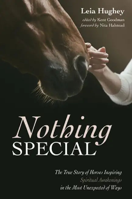 Nothing Special by Leia Hughey