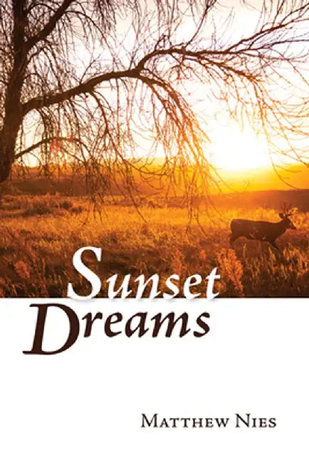 Sunset Dreams by Matthew Nies