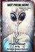 Not from Here: Selected UFO Articles by Christine Kesara Dennett