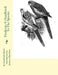 Parakeets: A Handbook To The Species by Jackson Chambers