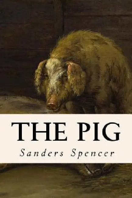 The Pig by Sanders Spencer