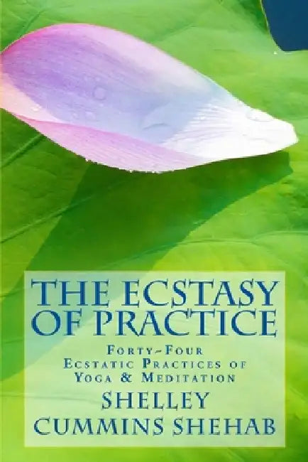 The Ecstasy of Practice: Forty-four ecstatic yoga practices by Shelley Cummins Shehab