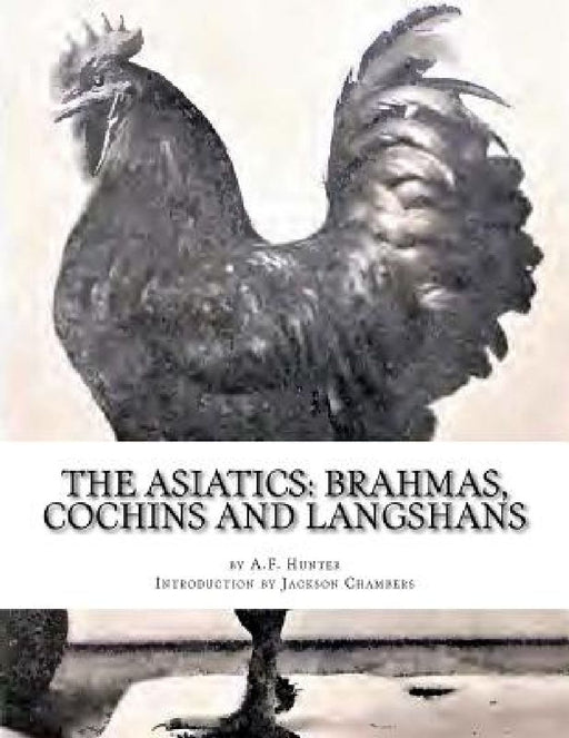 The Asiatics: Brahmas, Cochins and Langshans: Chicken Breeds Book 17 by Jackson Chambers