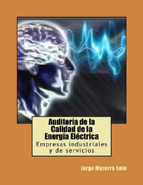 Auditoría de la Calidad de la Energía Eléctrica: Empresas industriales y de servicios by Lara Raya Prof, Francisco R.
