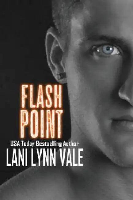 Flash Point by Lani Lynn Vale
