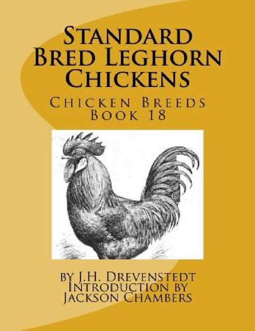 Standard Bred Leghorn Chickens: Chicken Breeds Book 18 by Jackson Chambers