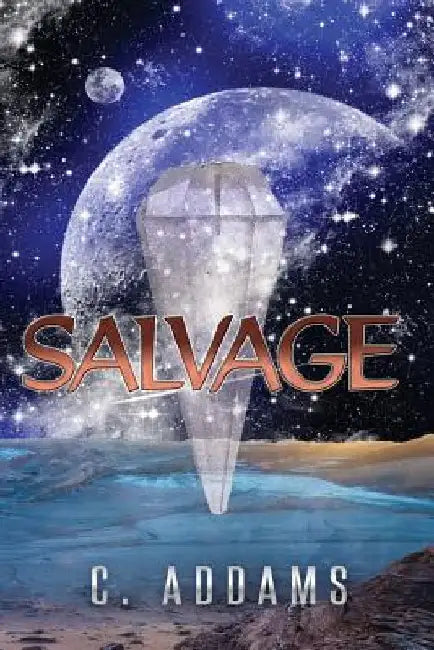 Salvage by C. Addams