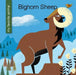 Bighorn Sheep by Virginia Loh-Hagan, Jeff Bane