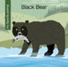 Black Bear by Virginia Loh-Hagan, Jeff Bane
