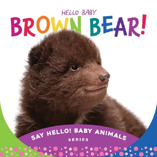 Hello Baby Brown Bear! by Beverly Rose