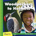 Woodpeckers to Helmets by Jennifer Colby