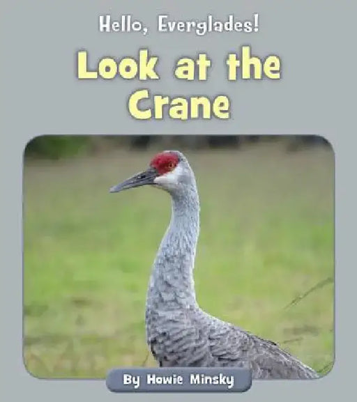 Look at the Crane by Howie Minsky
