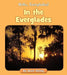 In the Everglades by Howie Minsky