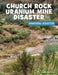 Church Rock Uranium Mine Disaster by Julie Knutson