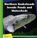Northern Snakeheads Invade Ponds and Watersheds by Susan H. Gray