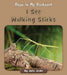 I See Walking Sticks by Julia Jaske