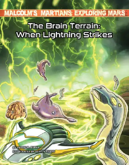 The Brain Terrain: When Lightning Strikes by Jason M. Burns