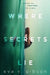 Where Secrets Lie by Eva V. Gibson