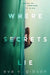 Where Secrets Lie by Eva V. Gibson