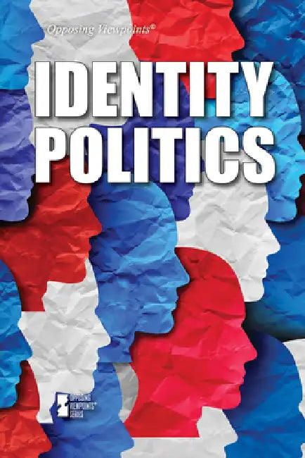 Identity Politics by Martin Gitlin