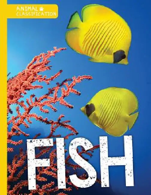 Fish by Steffi Cavell-Clarke