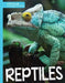 Reptiles by Steffi Cavell-Clarke