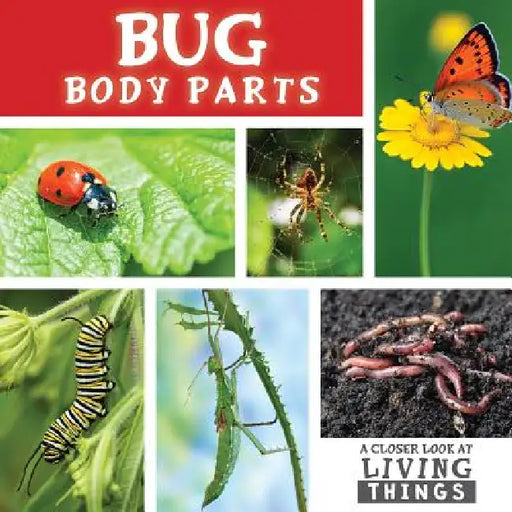 Bug Body Parts by Steffi Cavell-Clarke