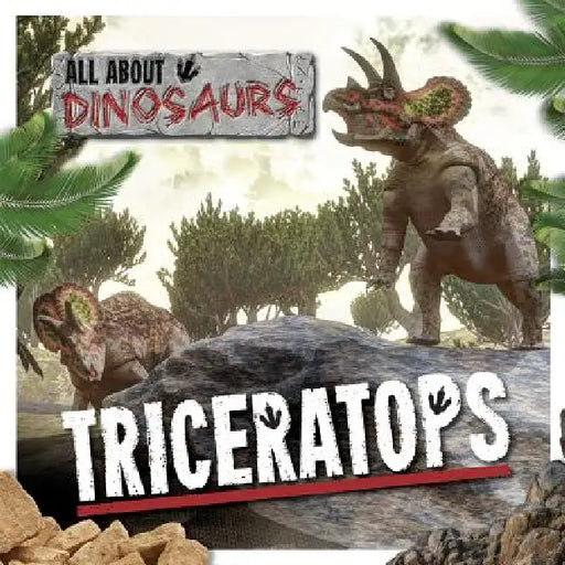 Triceratops by Amy Allatson