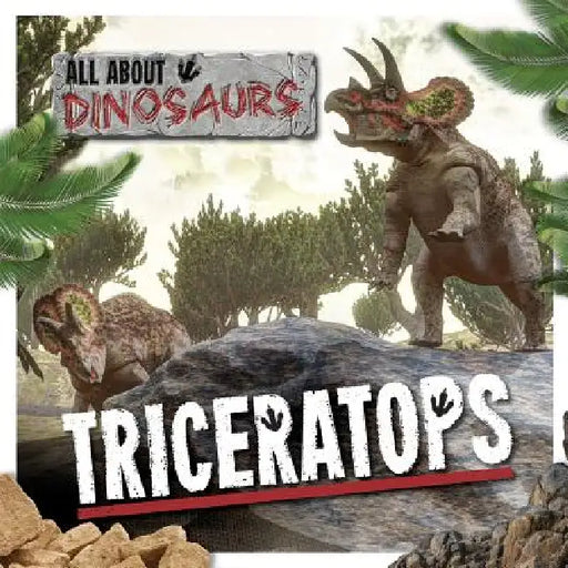Triceratops by Amy Allatson