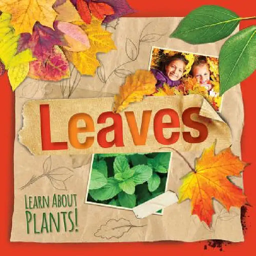 Leaves by Steffi Cavell-Clarke
