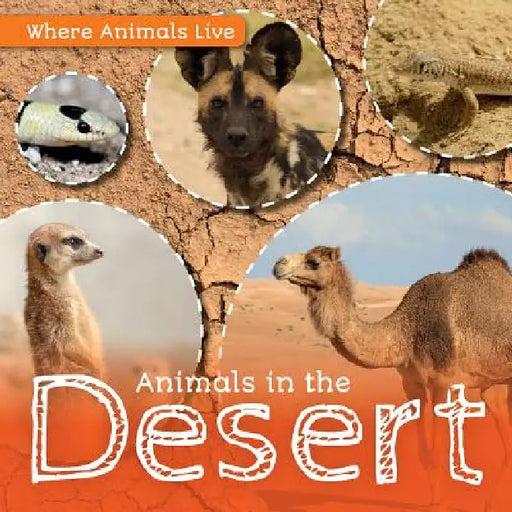 Animals in the Desert by John Wood