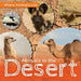 Animals in the Desert by John Wood