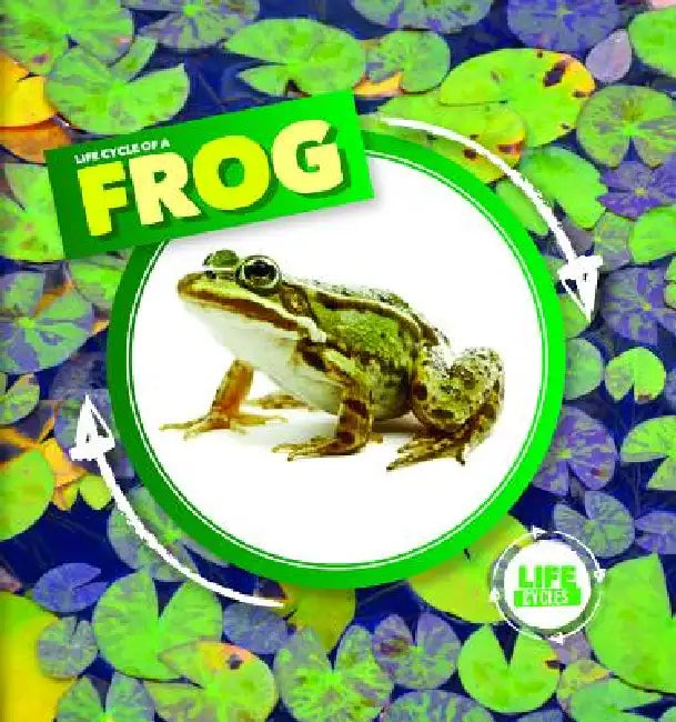 Life Cycle of a Frog by Kirsty Holmes