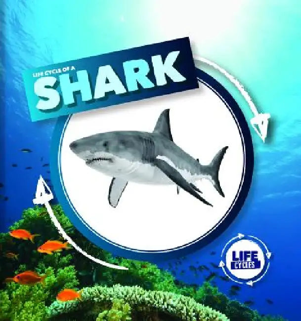Life Cycle of a Shark by Kirsty Holmes