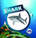 Life Cycle of a Shark by Kirsty Holmes