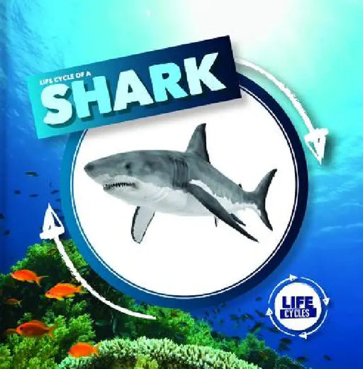 Life Cycle of a Shark by Kirsty Holmes