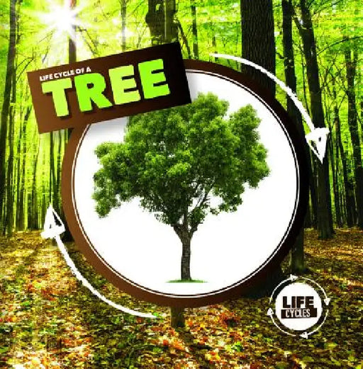 Life Cycle of a Tree by Kirsty Holmes