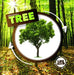 Life Cycle of a Tree by Kirsty Holmes