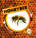 Life Cycle of a Honeybee by Kirsty Holmes