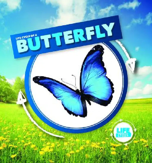 Life Cycle of a Butterfly by Kirsty Holmes