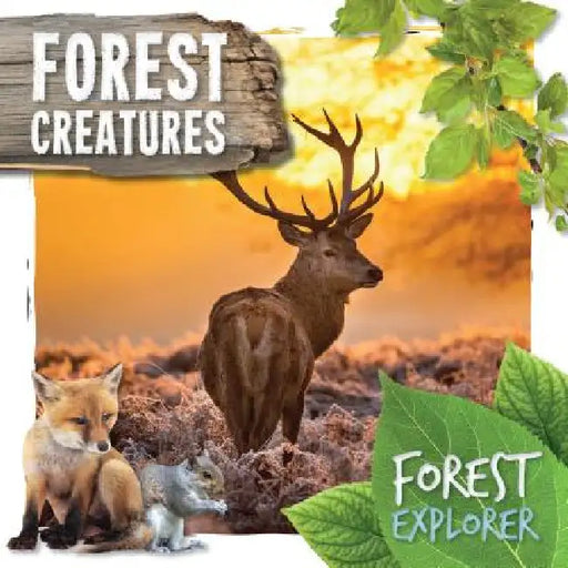 Forest Creatures by Robin Twiddy