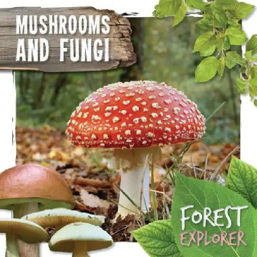 Mushrooms and Fungi by Robin Twiddy