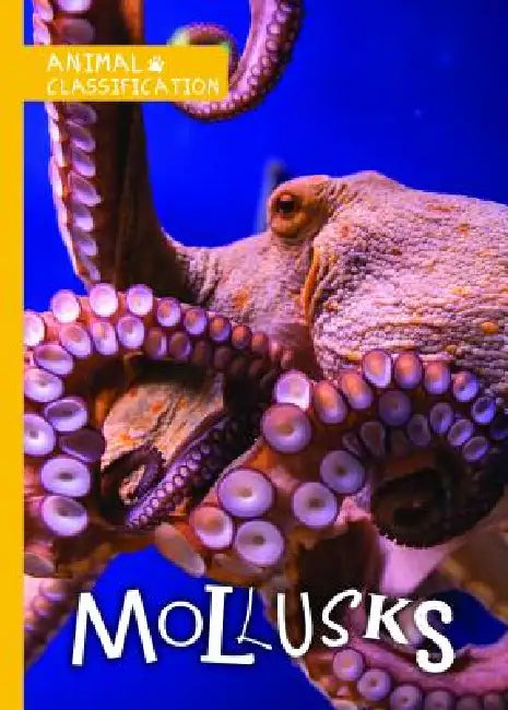 Mollusks by Madeline Tyler