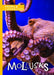 Mollusks by Madeline Tyler