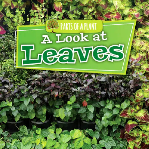A Look at Leaves by Lindsey Lowe