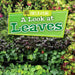 A Look at Leaves by Lindsey Lowe