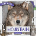 Mountain Food Webs by William Anthony