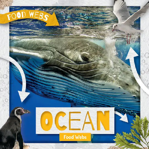 Ocean Food Webs by William Anthony