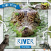 River Food Webs by William Anthony